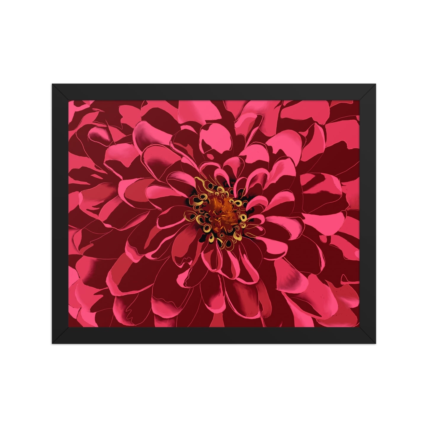 Chrysanthemum by Bryan Dodson Framed Art Print on Paper 11 x 14