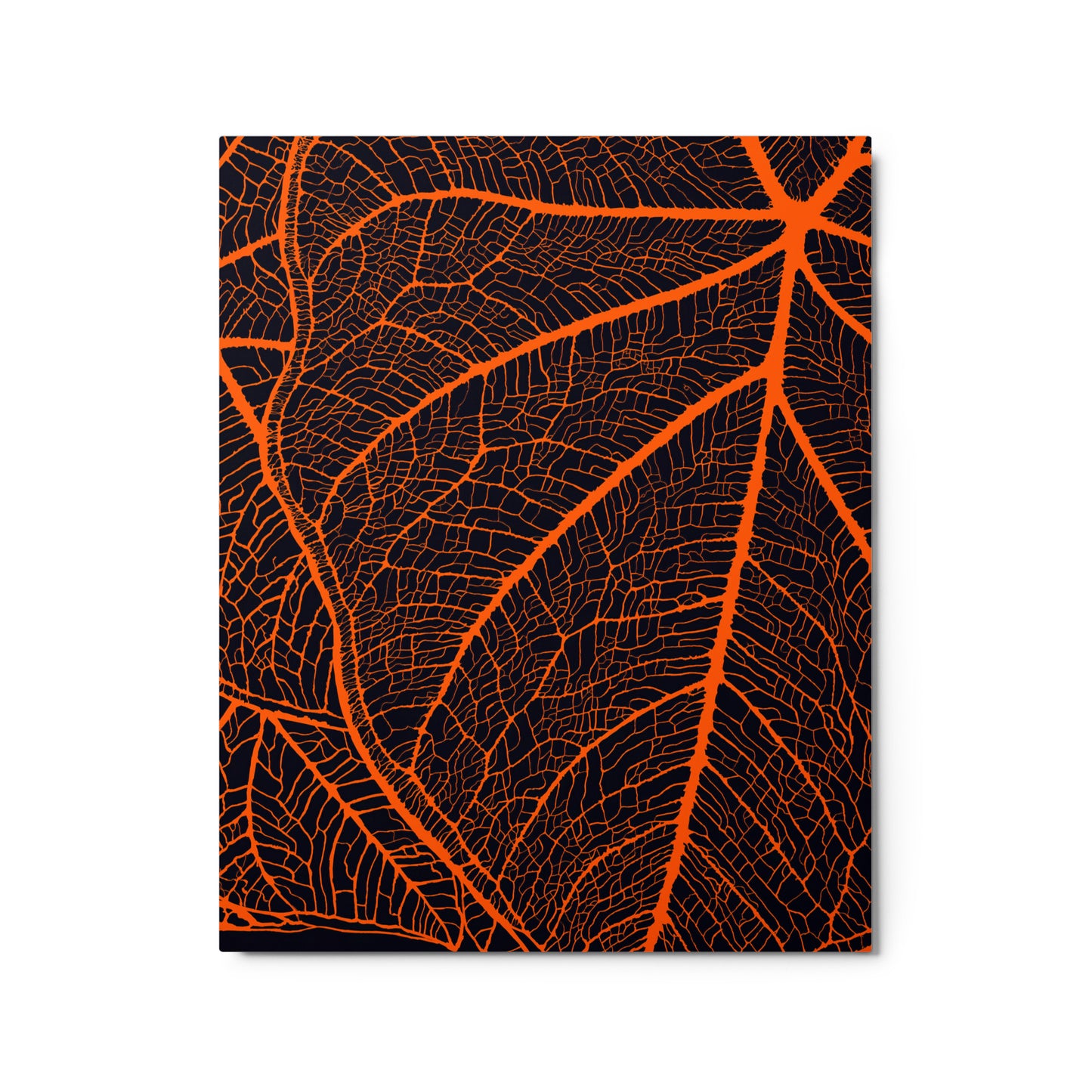 Natural Networks by Bryan Dodson Print on Metal 16x20